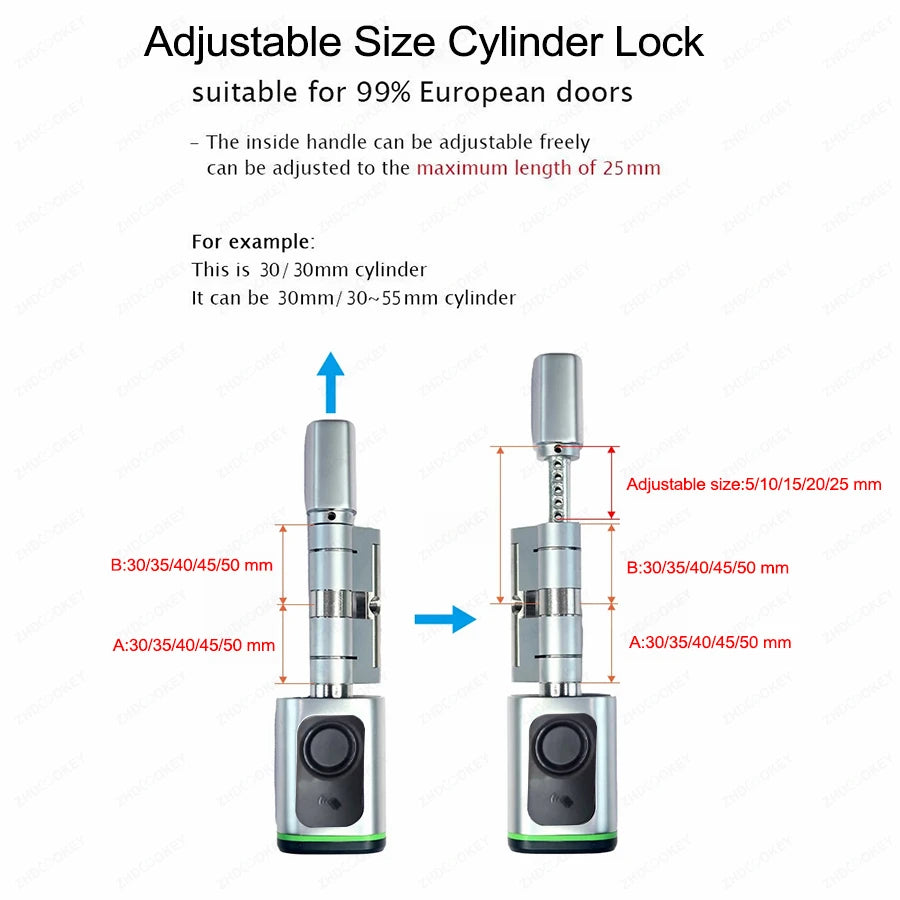 Tuya Bluetooth Ttlock App Biometric Fingerprint RFID Card Euro Cylinder Lock Electronic Smart Door Lock Keyless Old Door Replace