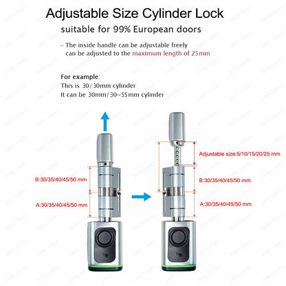 Tuya Bluetooth Ttlock App Biometric Fingerprint RFID Card Euro Cylinder Lock Electronic Smart Door Lock Keyless Old Door Replace