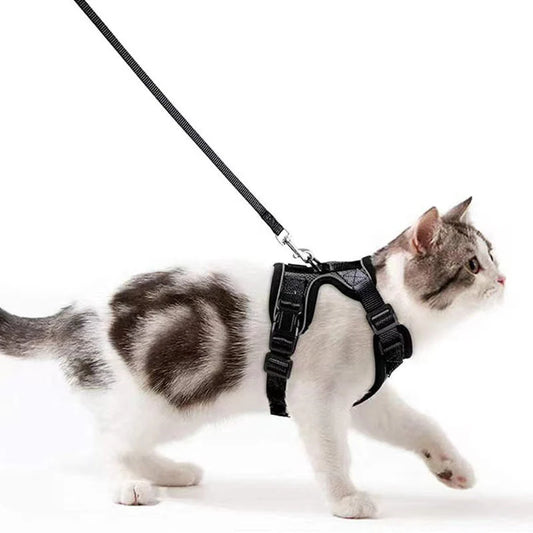 Soft Mesh Small Cat Harness and Leash Set Adjustable Vest Escape Proof for Pet Kitten Easy Control Reflective Puppy Dogs