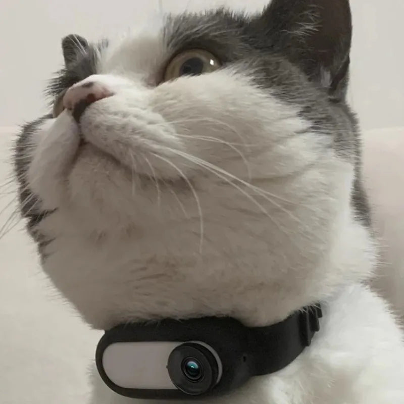 No WiFi Required Cat and Dog Collar Camera with Video Recording Movement, Mini Body Camera Indoor/Outdoor Wireless Collar