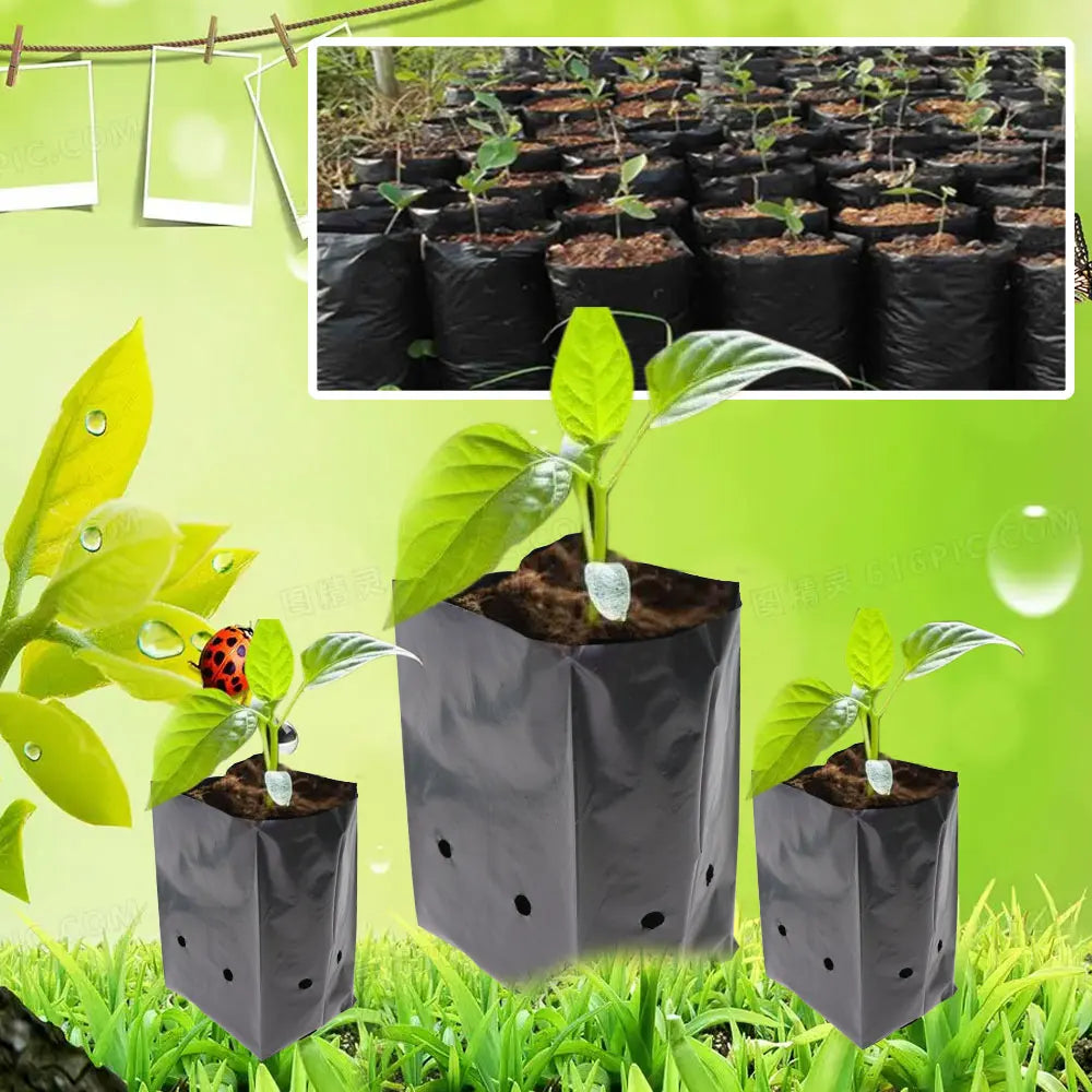 100/200PCS Black PE Nursery Bags Garden Plant Seedling Pots with Breathable Hole for Vegetable Tomato Grow Transplant Container